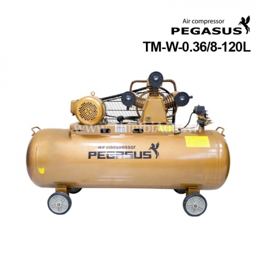 Máy nén khí piston 2 cấp 4 hp 120 lít Pegasus TM-W-0.36/8-120L